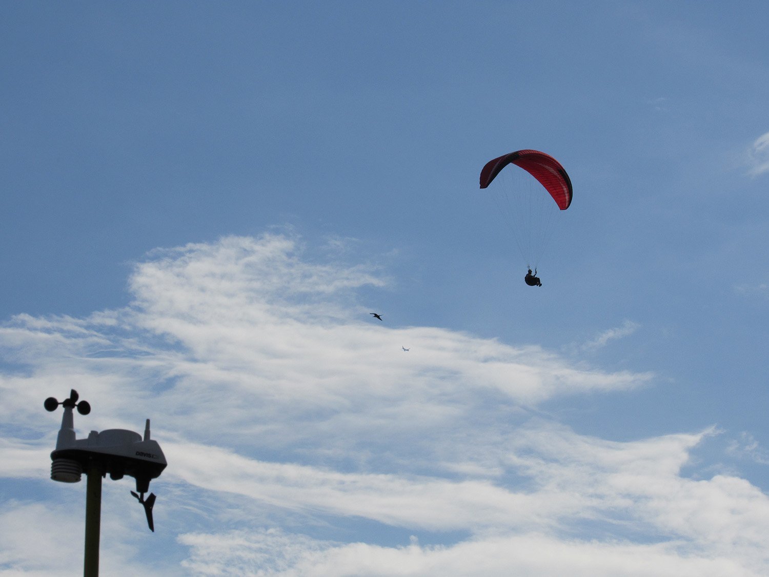 Voo-de-asa-delta-hang-gliding-Voo-de-para-pente-paragliding-flight-Ruy-Marra-5.jpg
